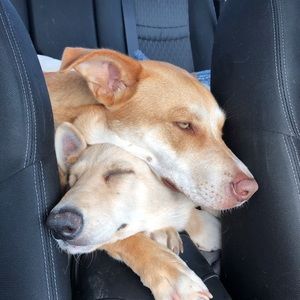 Meet your Posher, Matthew